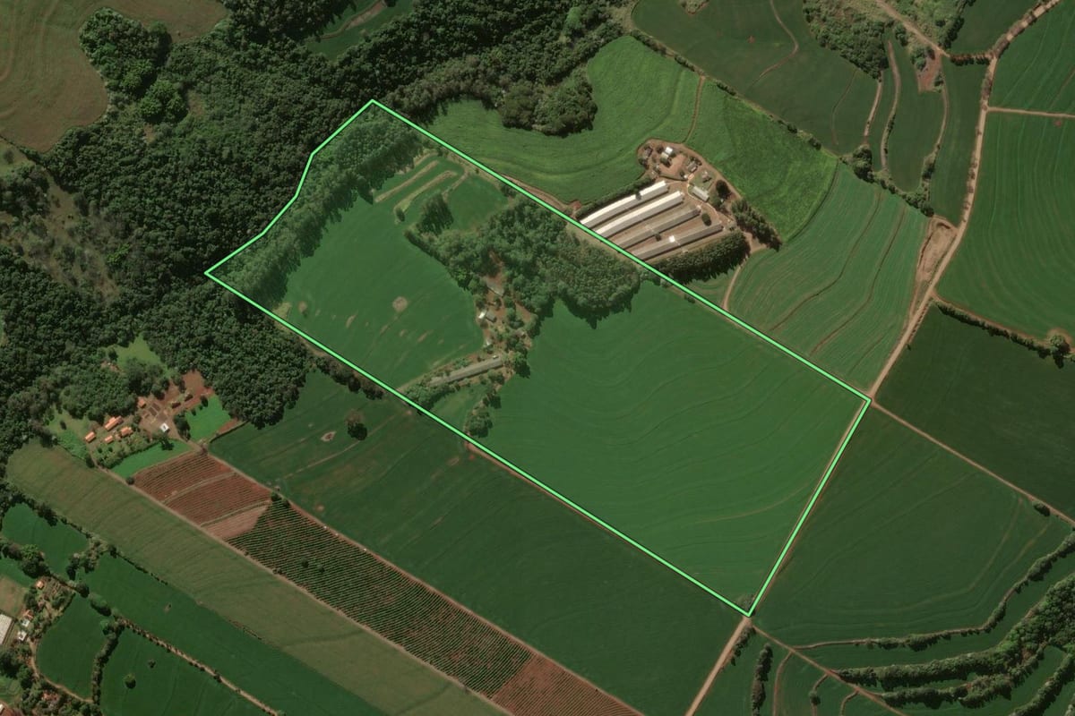 Imagem de satélite do imóvel rural em Rolândia (PR), com o contorno declarado no CAR desenhado por cima.
