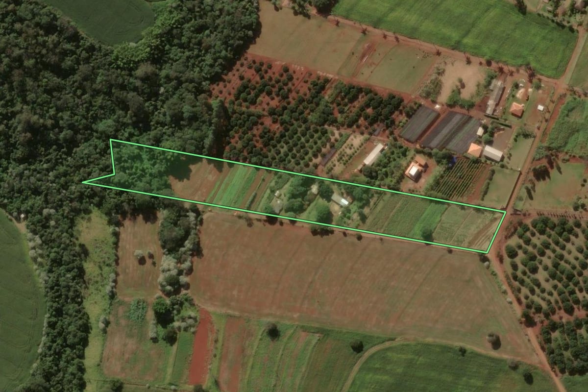 Imagem de satélite do imóvel rural em Rolândia (PR), com o contorno declarado no CAR desenhado por cima.