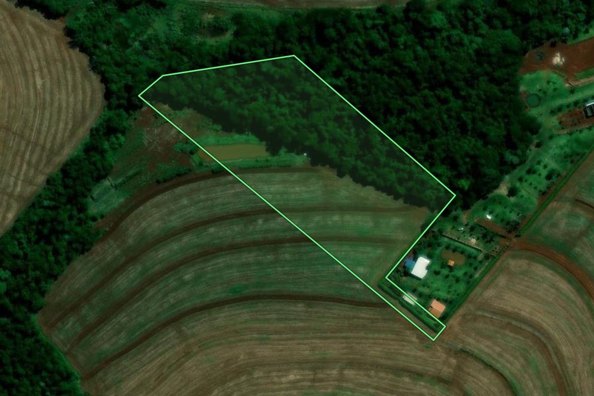 Imagem de satélite do imóvel rural em Rolândia (PR), com o contorno declarado no CAR desenhado por cima.