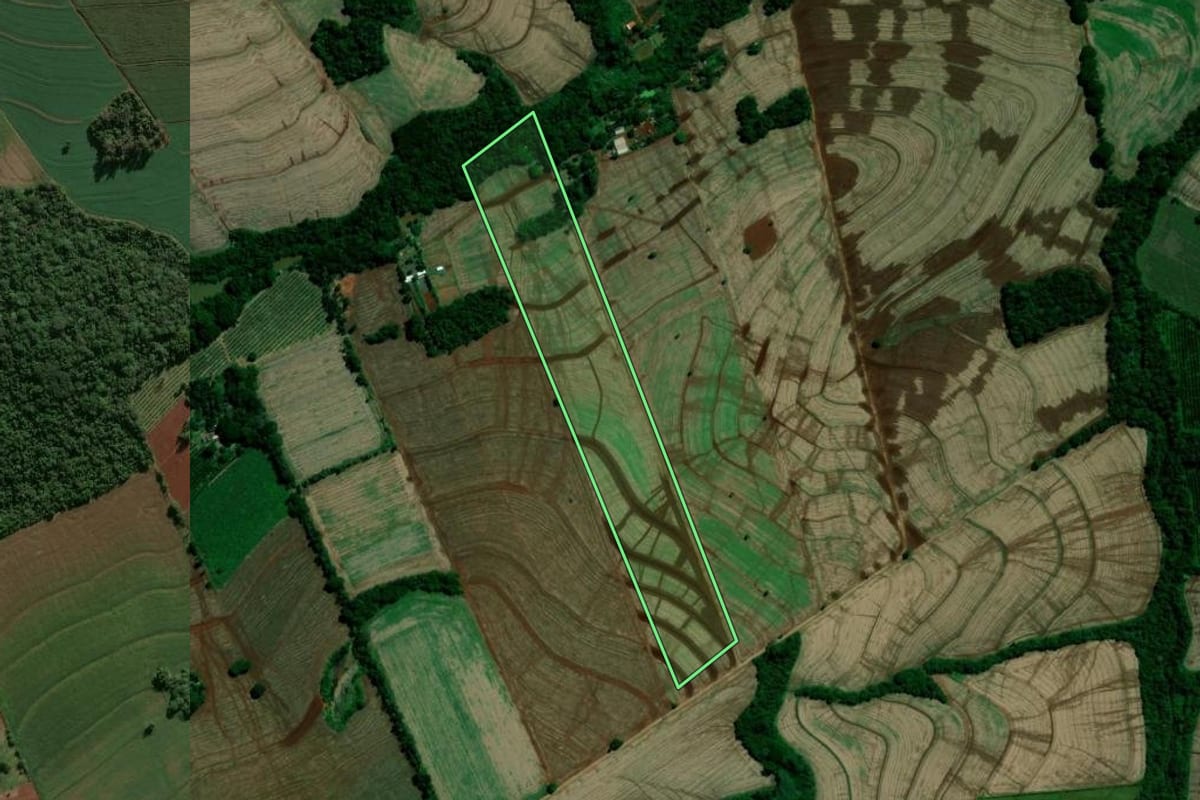 Imagem de satélite do imóvel rural em Rolândia (PR), com o contorno declarado no CAR desenhado por cima.