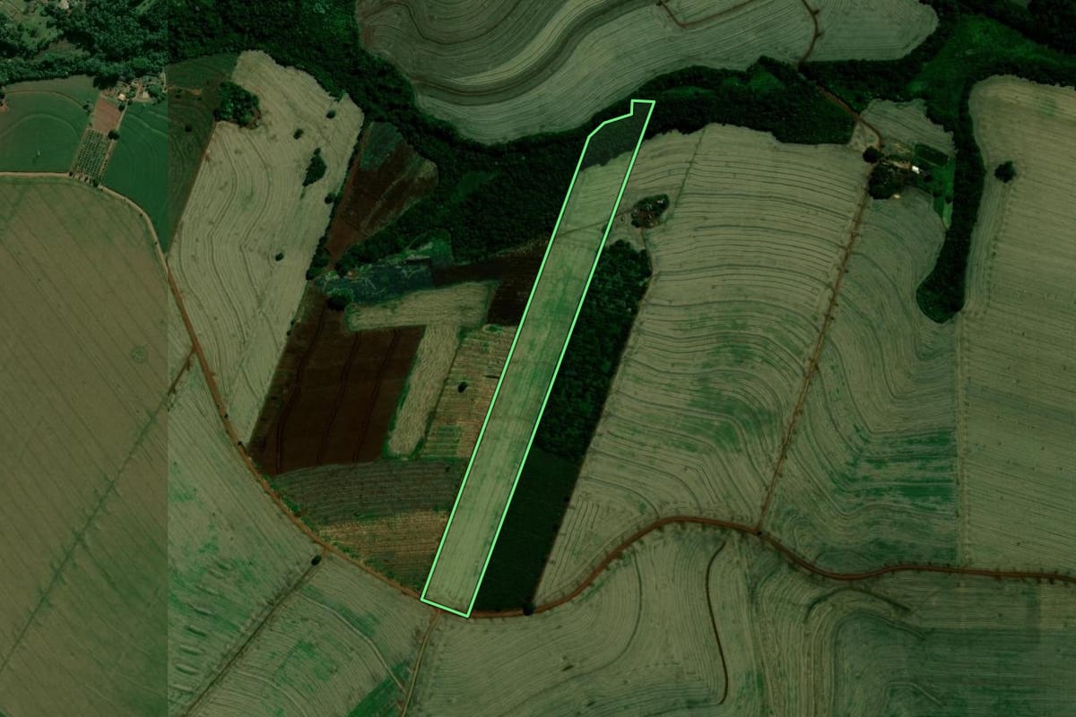 Imagem de satélite do imóvel rural em Rolândia (PR), com o contorno declarado no CAR desenhado por cima.