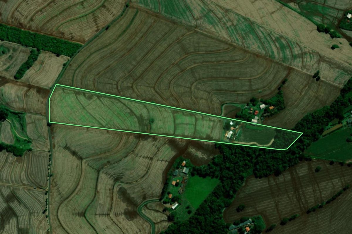 Imagem de satélite do imóvel rural em Rolândia (PR), com o contorno declarado no CAR desenhado por cima.
