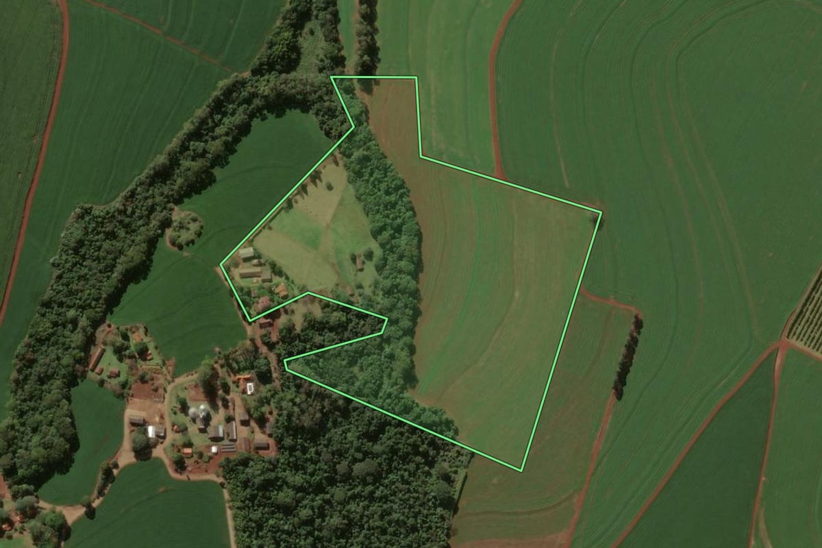 Imagem de satélite do imóvel rural em Rolândia (PR), com o contorno declarado no CAR desenhado por cima.