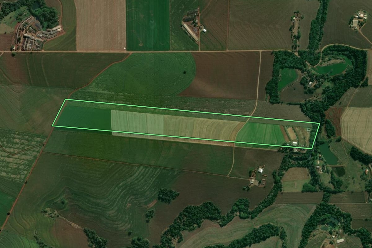 Imagem de satélite do imóvel rural em Rolândia (PR), com o contorno declarado no CAR desenhado por cima.