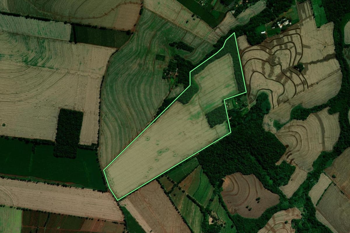 Imagem de satélite do imóvel rural em Rolândia (PR), com o contorno declarado no CAR desenhado por cima.