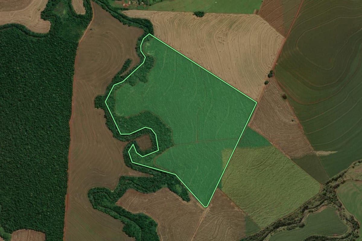 Imagem de satélite do imóvel rural em Jaguapitã (PR), com o contorno declarado no CAR desenhado por cima.