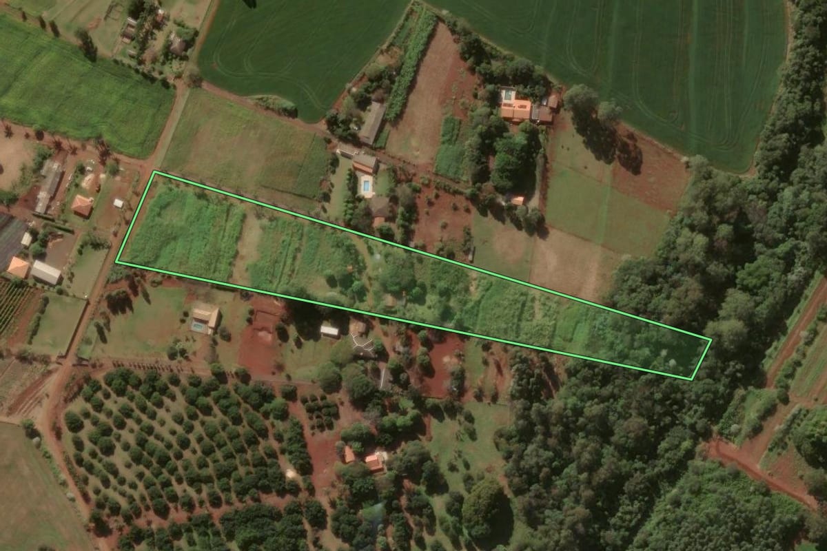 Imagem de satélite do imóvel rural em Rolândia (PR), com o contorno declarado no CAR desenhado por cima.