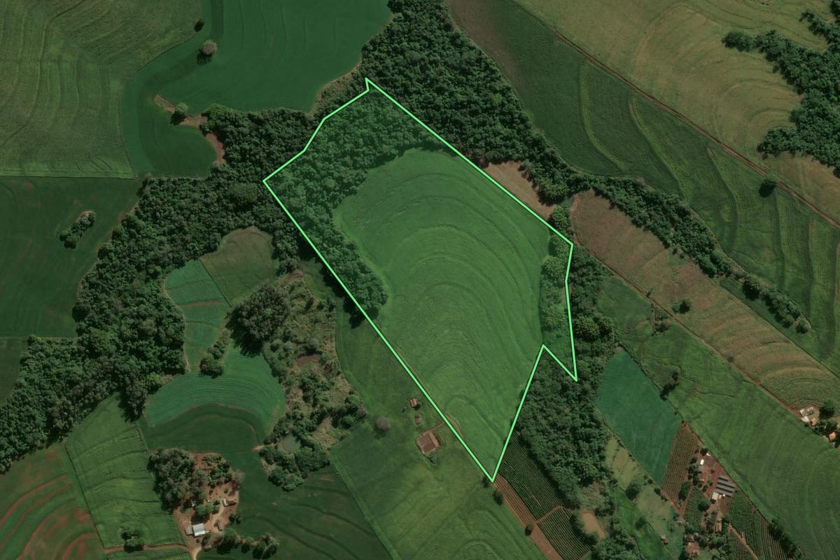 Imagem de satélite do imóvel rural em Rolândia (PR), com o contorno declarado no CAR desenhado por cima.