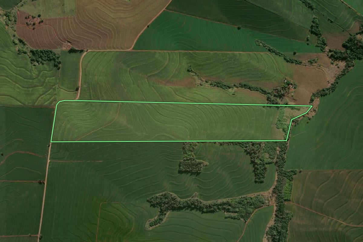 Imagem de satélite do imóvel rural em Rolândia (PR), com o contorno declarado no CAR desenhado por cima.