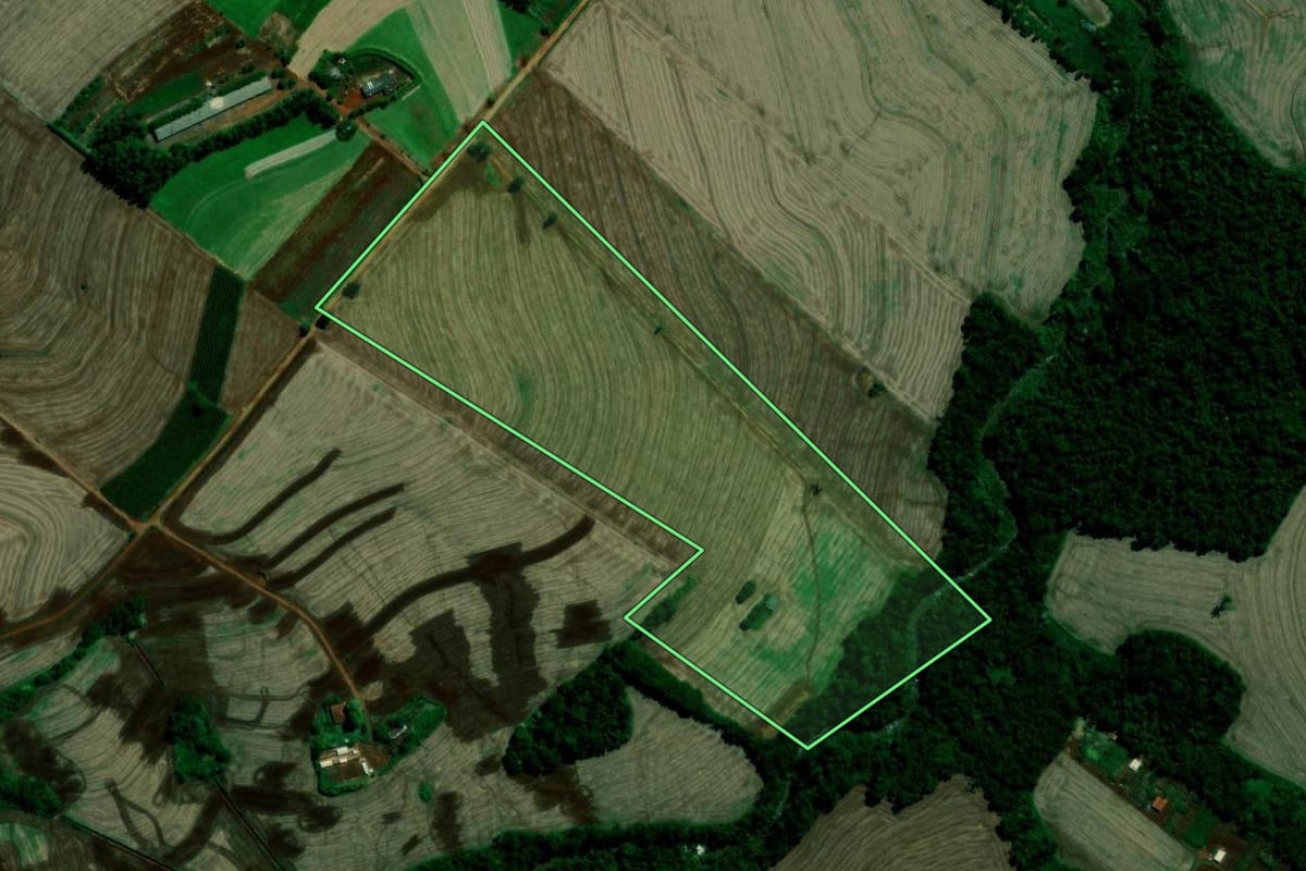 Imagem de satélite do imóvel rural em Rolândia (PR), com o contorno declarado no CAR desenhado por cima.