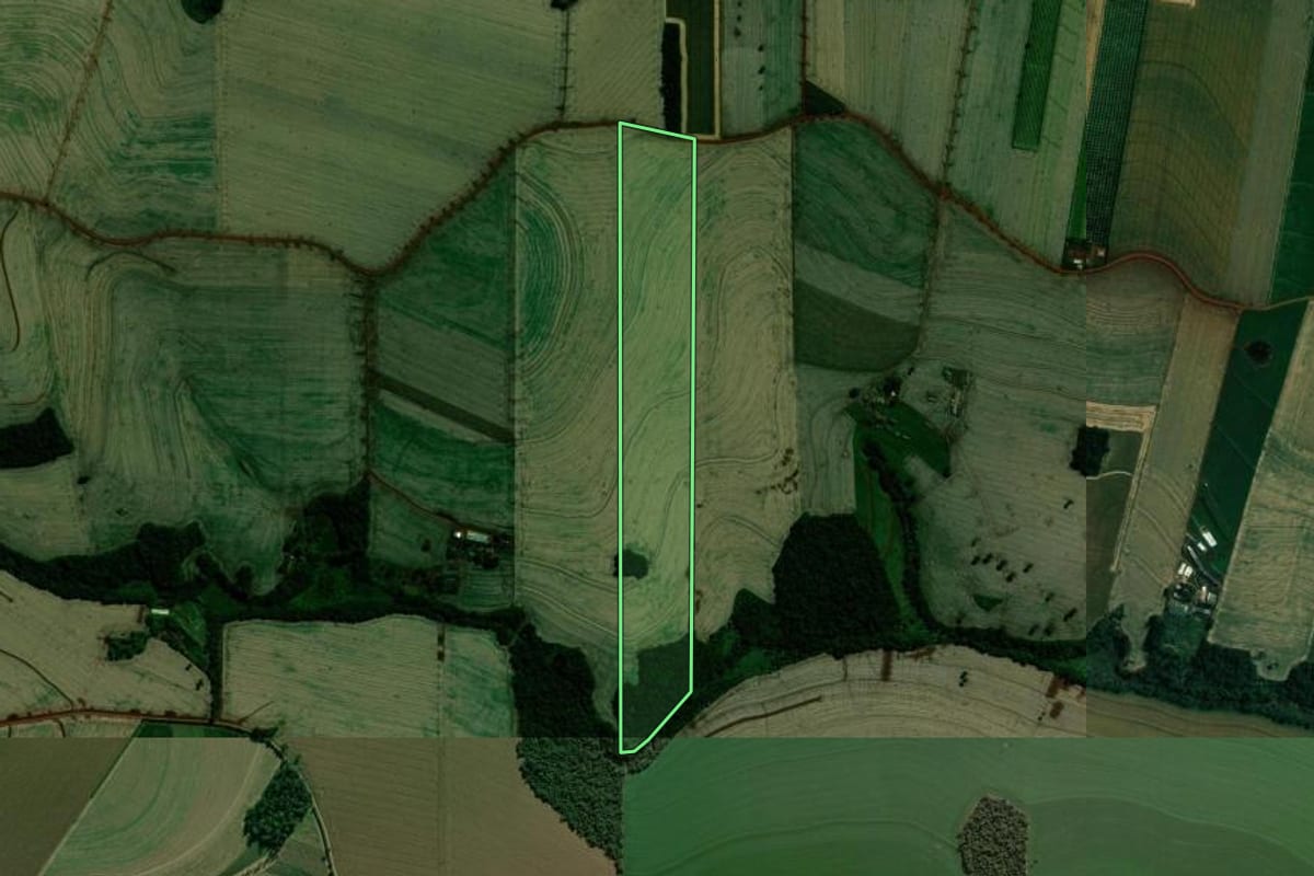 Imagem de satélite do imóvel rural em Rolândia (PR), com o contorno declarado no CAR desenhado por cima.
