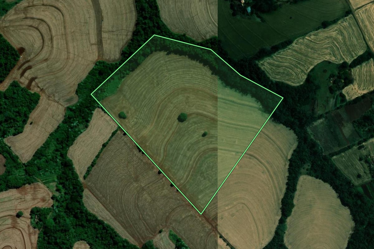 Imagem de satélite do imóvel rural em Rolândia (PR), com o contorno declarado no CAR desenhado por cima.