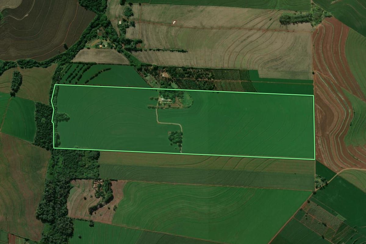 Imagem de satélite do imóvel rural em Rolândia (PR), com o contorno declarado no CAR desenhado por cima.