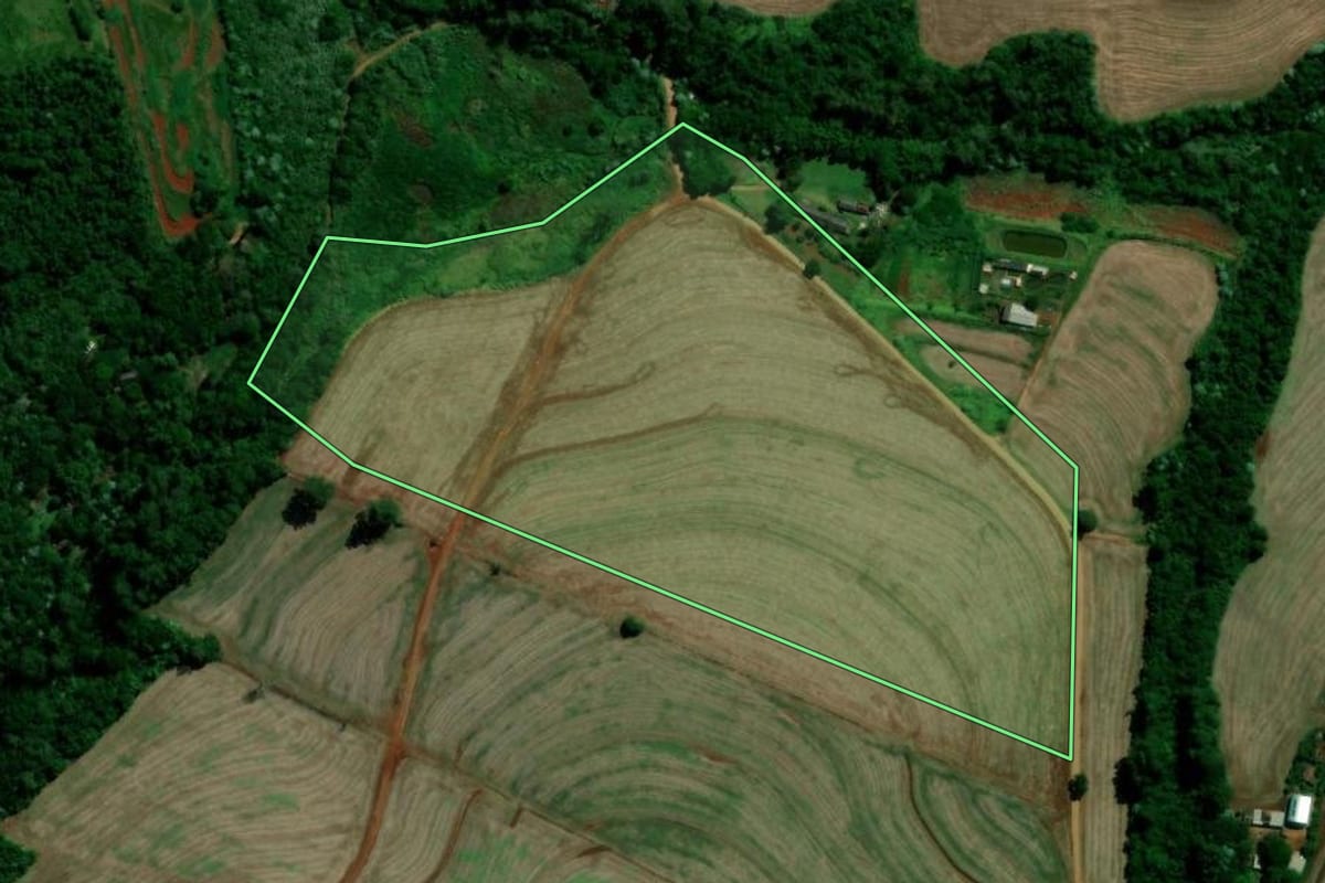 Imagem de satélite do imóvel rural em Rolândia (PR), com o contorno declarado no CAR desenhado por cima.