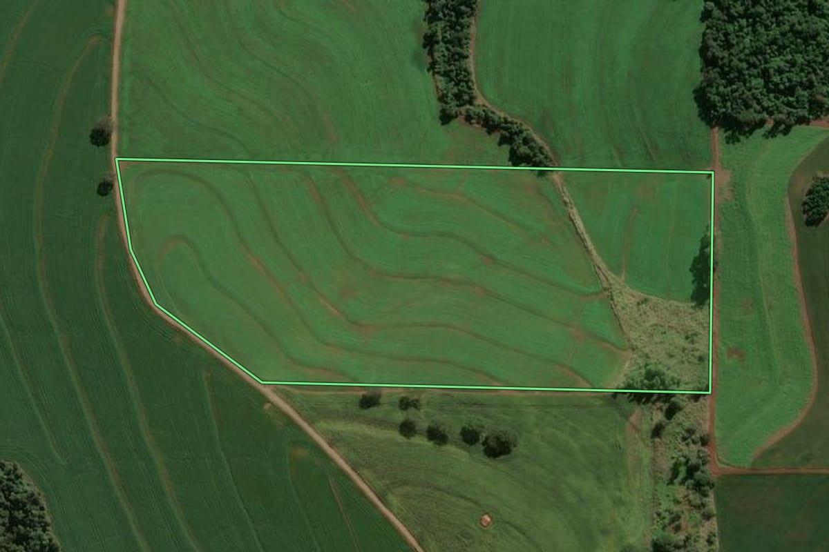 Imagem de satélite do imóvel rural em Rolândia (PR), com o contorno declarado no CAR desenhado por cima.
