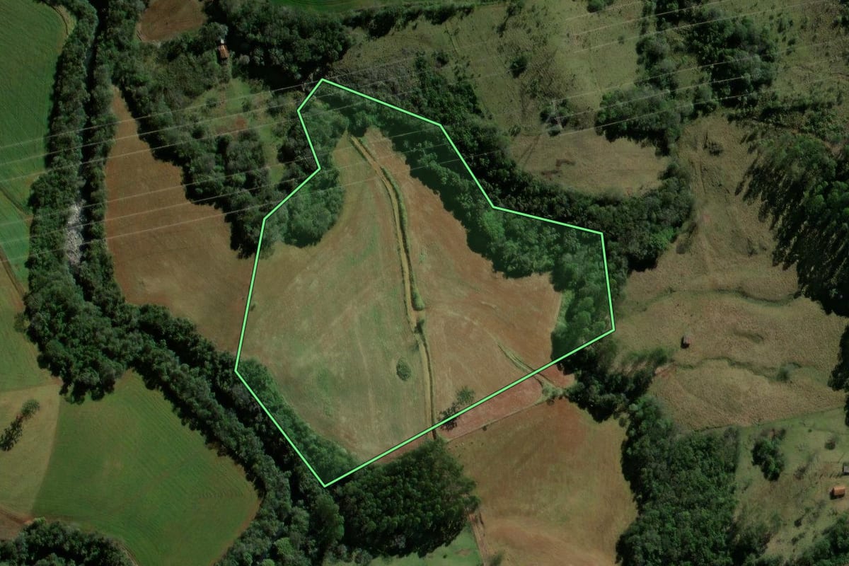 Imagem de satélite do imóvel rural em Roncador (PR), com o contorno declarado no CAR desenhado por cima.