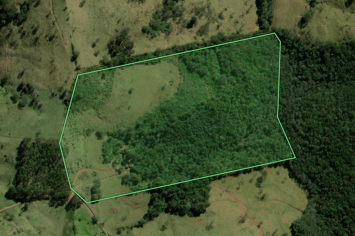 Imagem de satélite do imóvel rural em Roncador (PR), com o contorno declarado no CAR desenhado por cima.