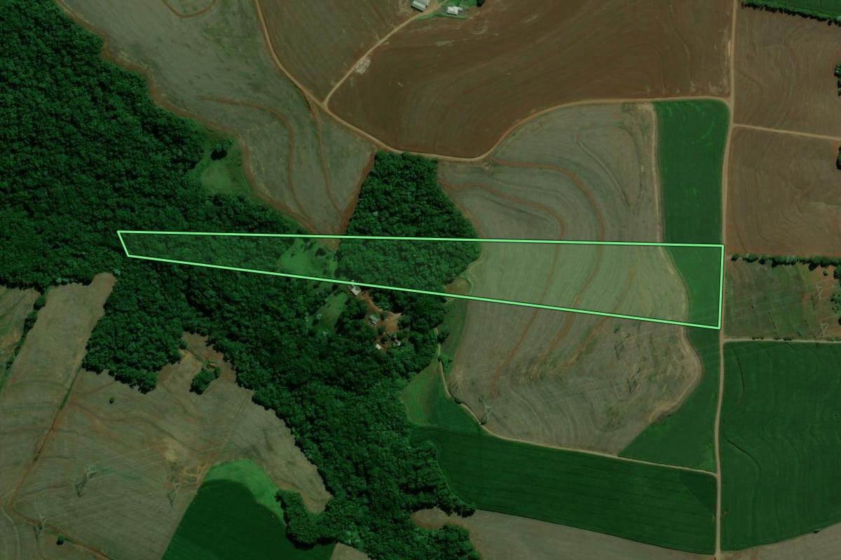 Imagem de satélite do imóvel rural em Roncador (PR), com o contorno declarado no CAR desenhado por cima.
