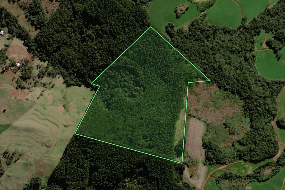 Imagem de satélite do imóvel rural em Roncador (PR), com o contorno declarado no CAR desenhado por cima.