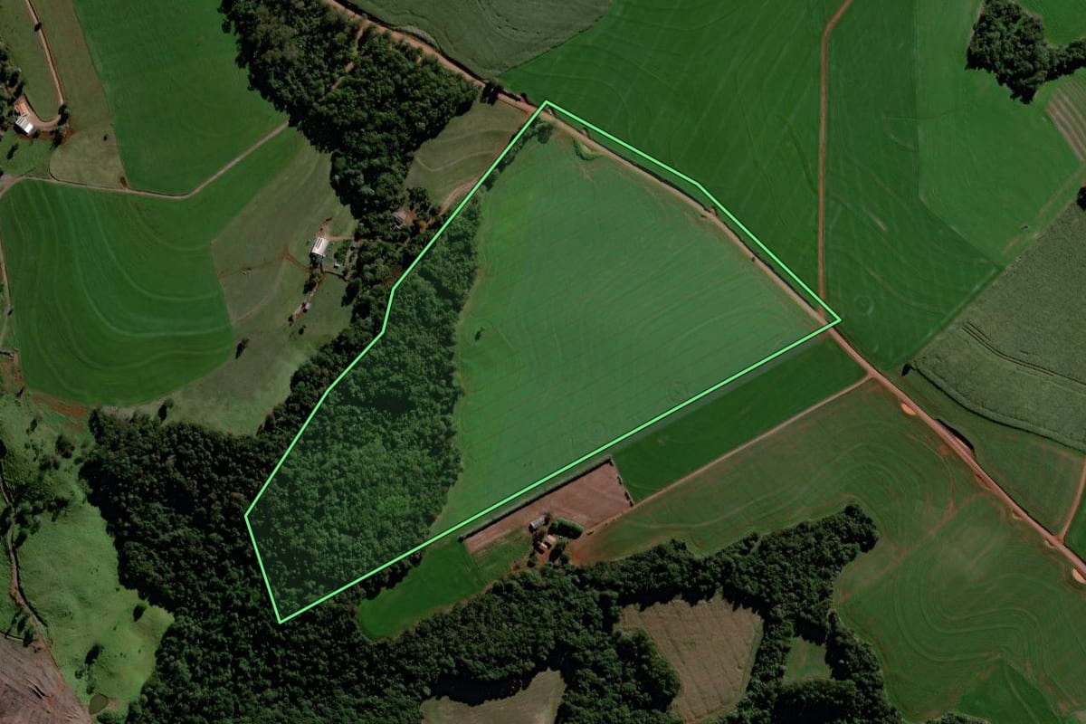 Imagem de satélite do imóvel rural em Roncador (PR), com o contorno declarado no CAR desenhado por cima.