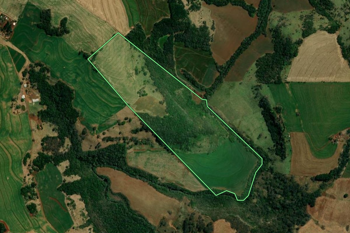 Imagem de satélite do imóvel rural em Roncador (PR), com o contorno declarado no CAR desenhado por cima.