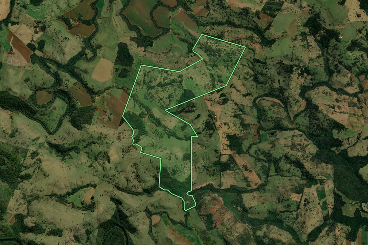 Imagem de satélite do imóvel rural em Roncador (PR), com o contorno declarado no CAR desenhado por cima.