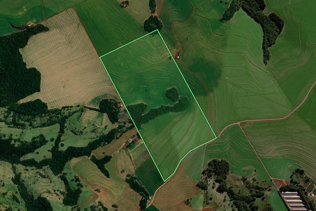 Imagem de satélite do imóvel rural em Roncador (PR), com o contorno declarado no CAR desenhado por cima.