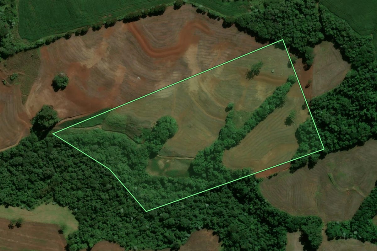Imagem de satélite do imóvel rural em Roncador (PR), com o contorno declarado no CAR desenhado por cima.