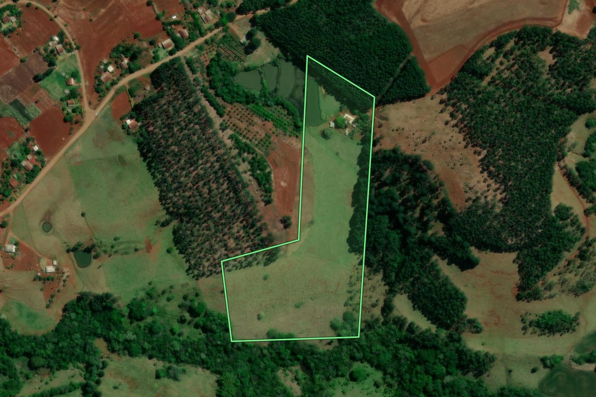 Imagem de satélite do imóvel rural em Roncador (PR), com o contorno declarado no CAR desenhado por cima.