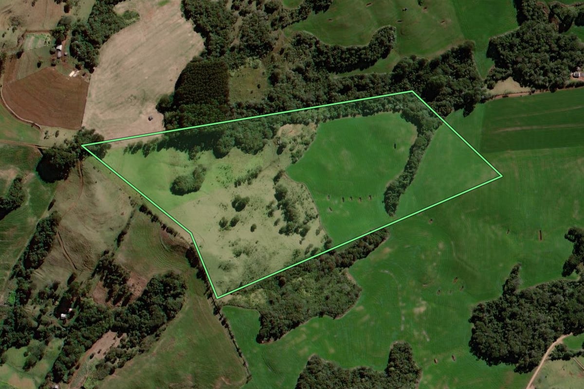 Imagem de satélite do imóvel rural em Roncador (PR), com o contorno declarado no CAR desenhado por cima.
