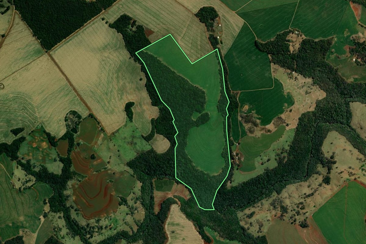 Imagem de satélite do imóvel rural em Roncador (PR), com o contorno declarado no CAR desenhado por cima.
