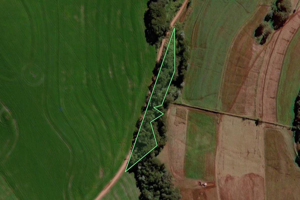 Imagem de satélite do imóvel rural em Roncador (PR), com o contorno declarado no CAR desenhado por cima.