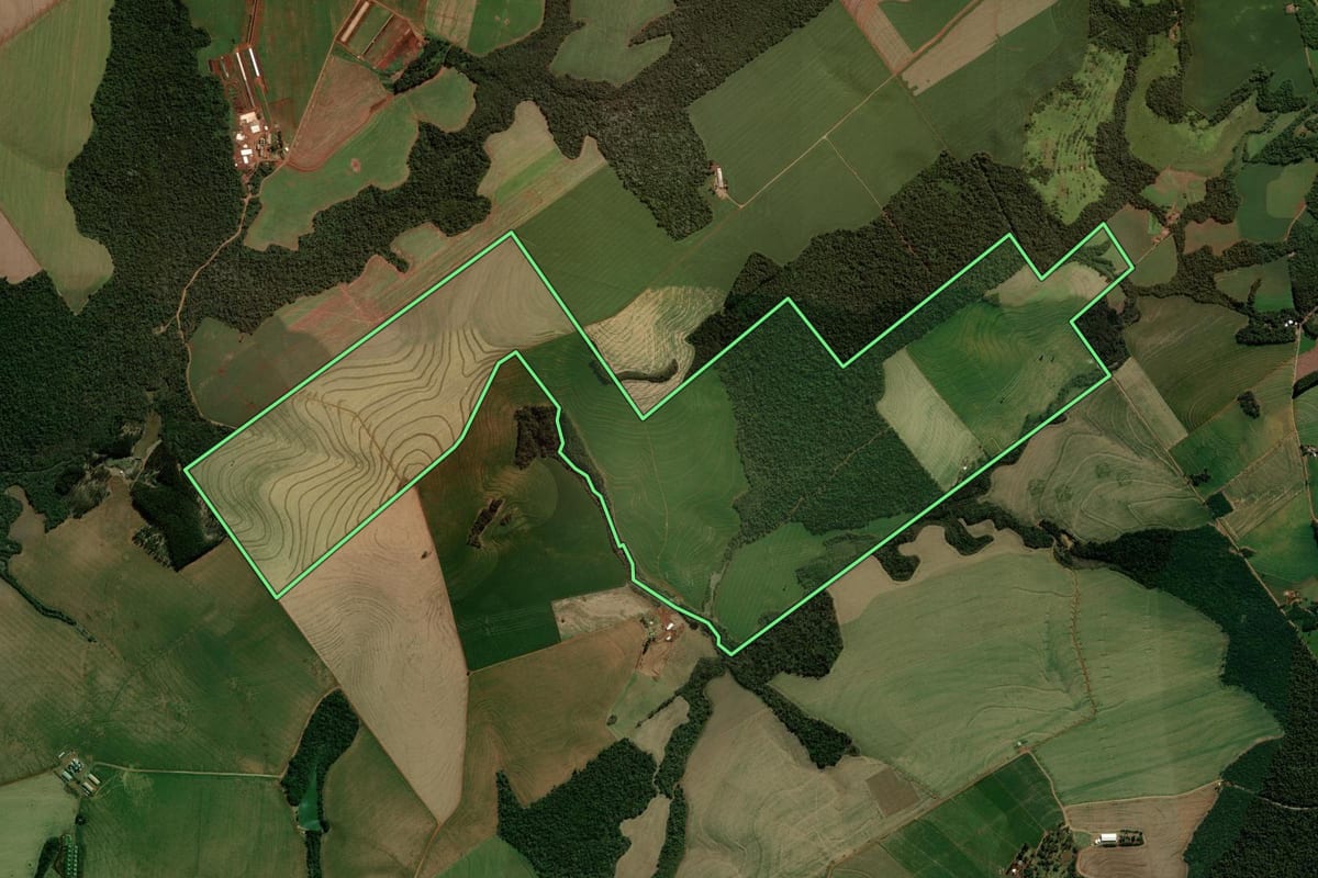 Imagem de satélite do imóvel rural em Roncador (PR), com o contorno declarado no CAR desenhado por cima.