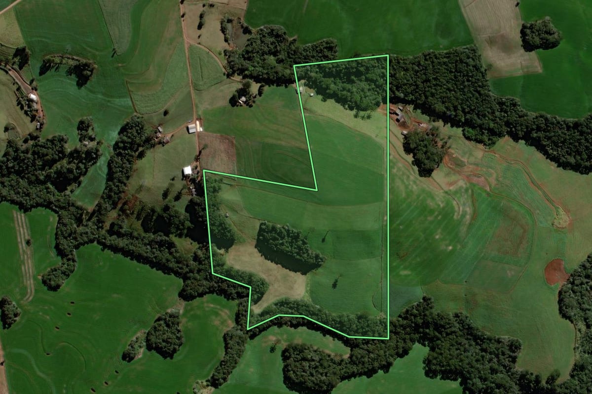 Imagem de satélite do imóvel rural em Roncador (PR), com o contorno declarado no CAR desenhado por cima.