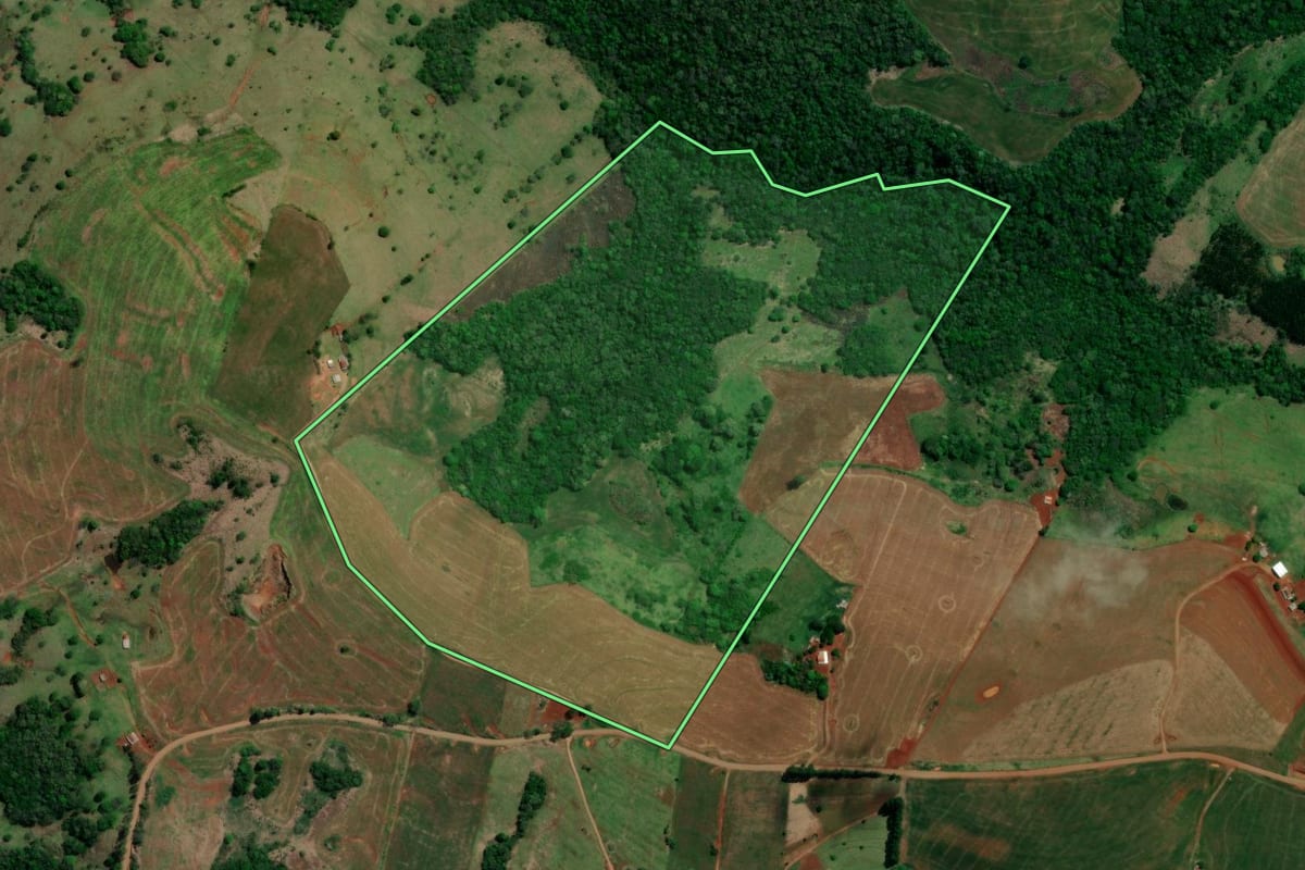 Imagem de satélite do imóvel rural em Roncador (PR), com o contorno declarado no CAR desenhado por cima.