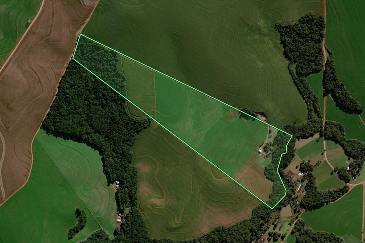 Imagem de satélite do imóvel rural em Roncador (PR), com o contorno declarado no CAR desenhado por cima.