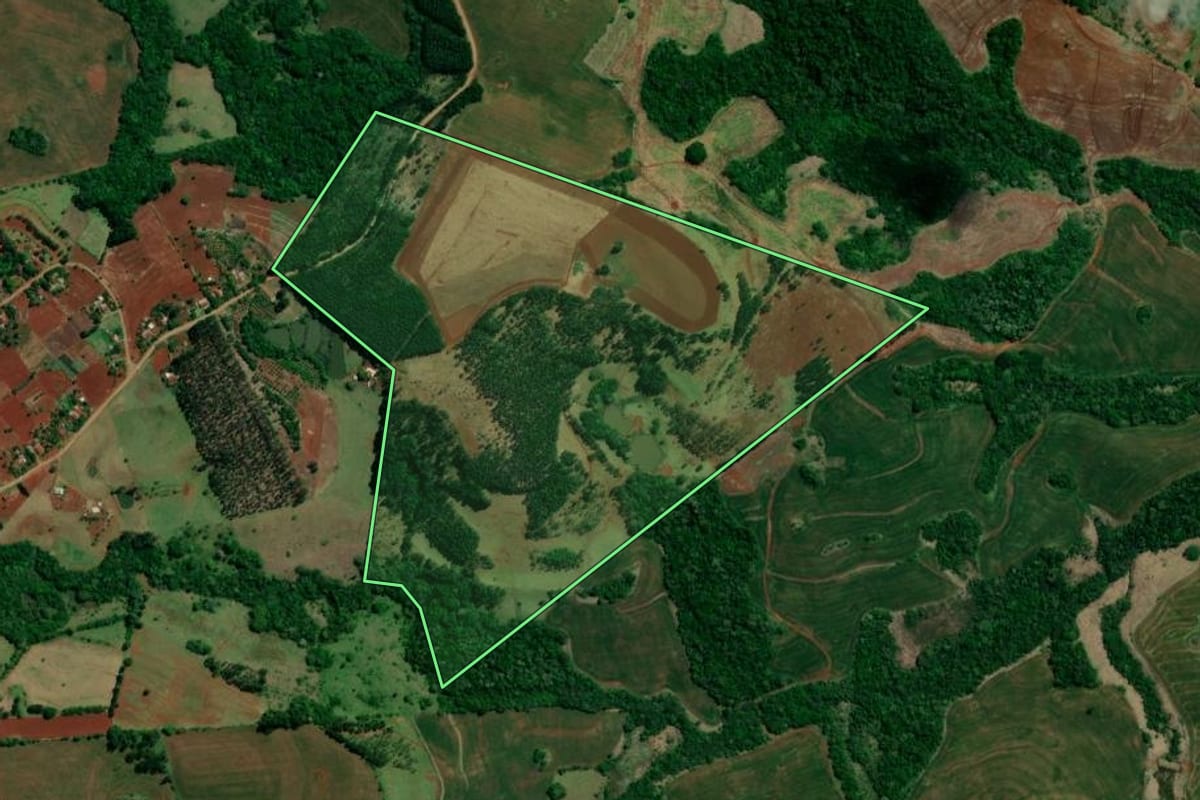 Imagem de satélite do imóvel rural em Roncador (PR), com o contorno declarado no CAR desenhado por cima.