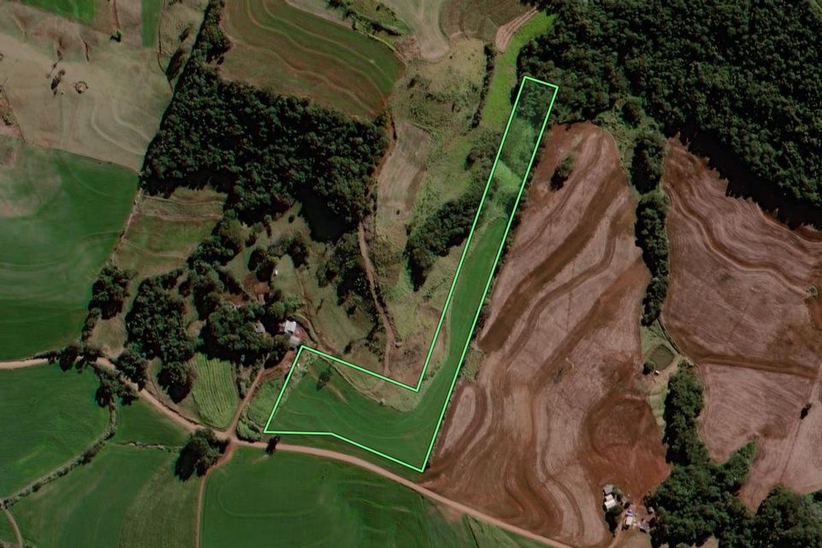 Imagem de satélite do imóvel rural em Roncador (PR), com o contorno declarado no CAR desenhado por cima.