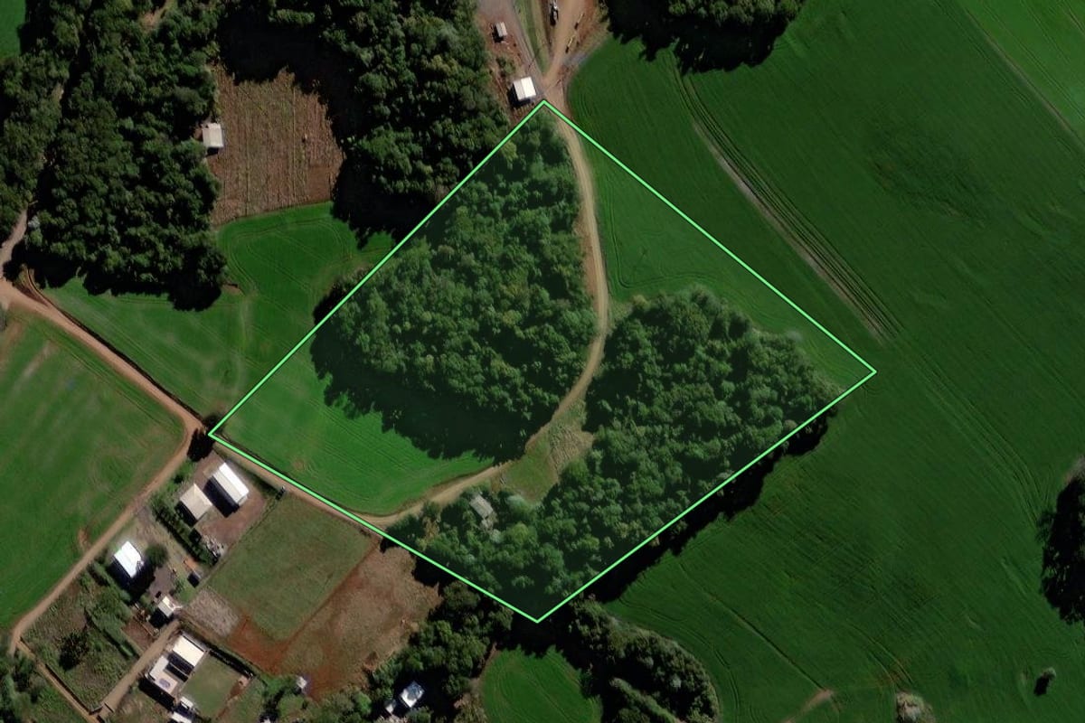 Imagem de satélite do imóvel rural em Roncador (PR), com o contorno declarado no CAR desenhado por cima.