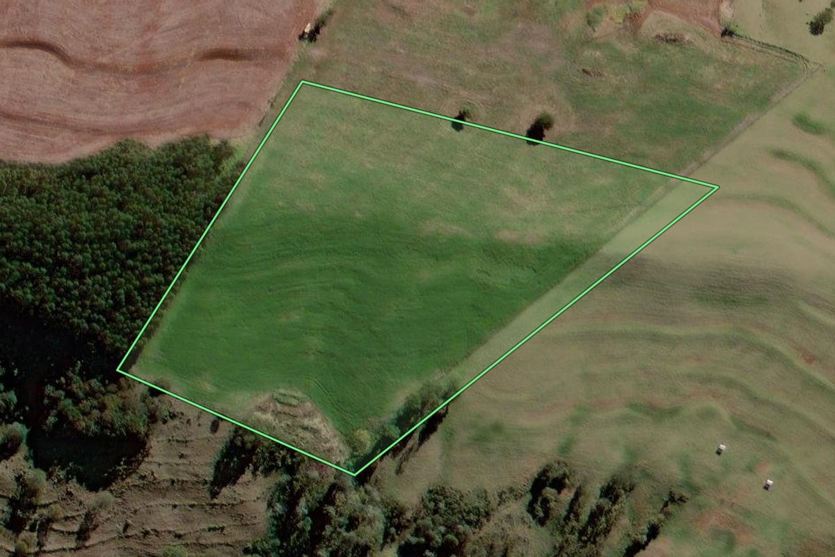 Imagem de satélite do imóvel rural em Roncador (PR), com o contorno declarado no CAR desenhado por cima.