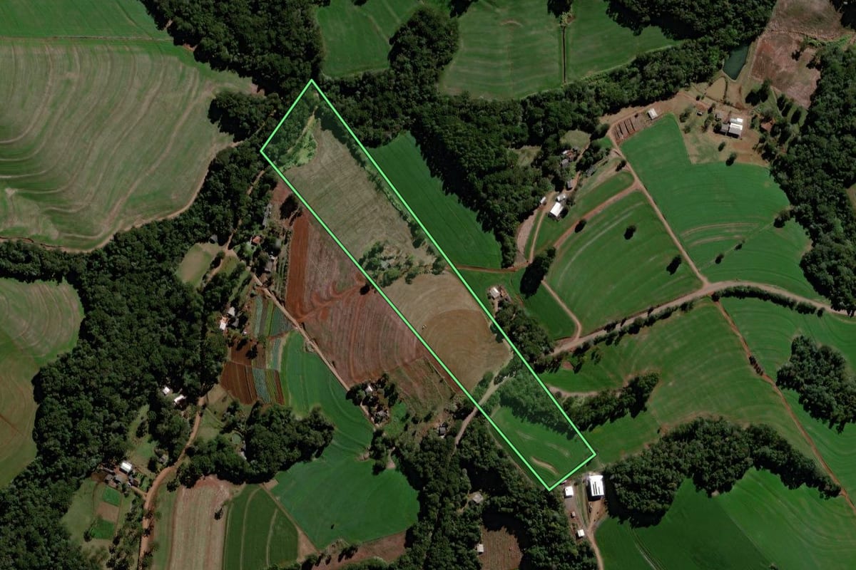 Imagem de satélite do imóvel rural em Roncador (PR), com o contorno declarado no CAR desenhado por cima.