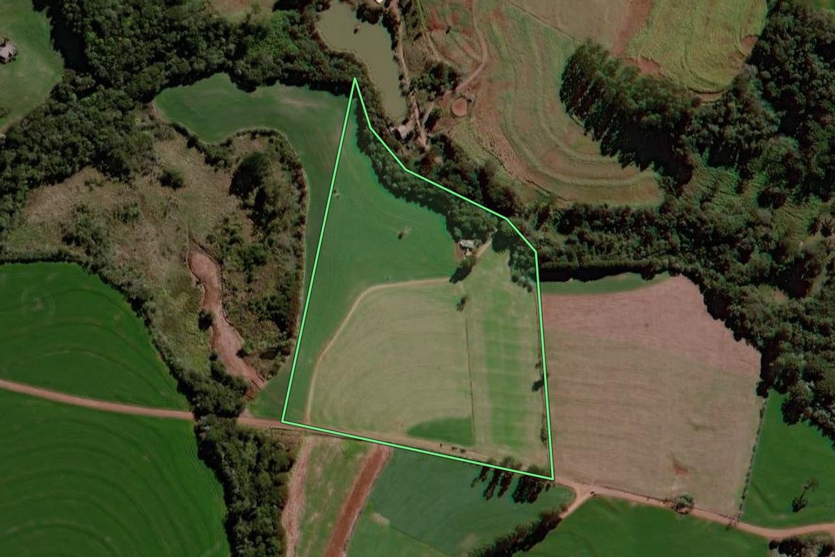 Imagem de satélite do imóvel rural em Roncador (PR), com o contorno declarado no CAR desenhado por cima.