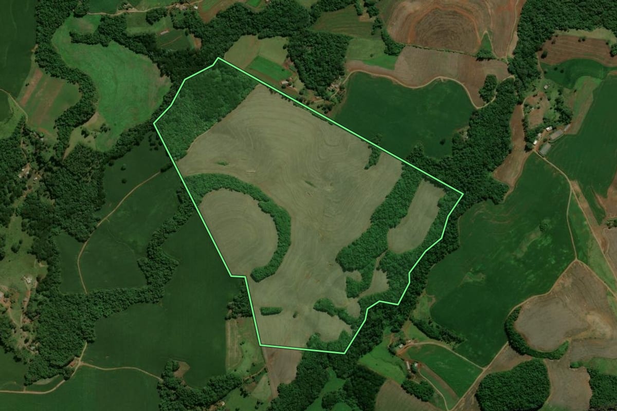 Imagem de satélite do imóvel rural em Roncador (PR), com o contorno declarado no CAR desenhado por cima.