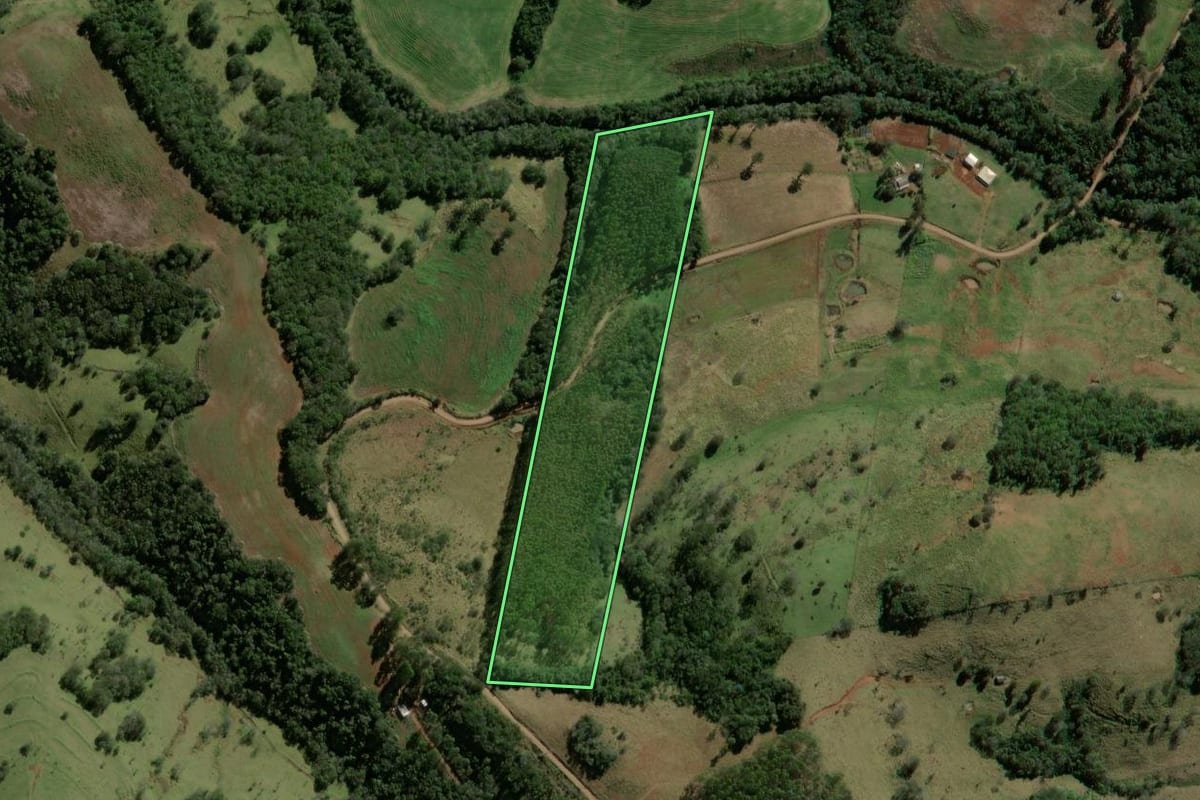 Imagem de satélite do imóvel rural em Roncador (PR), com o contorno declarado no CAR desenhado por cima.