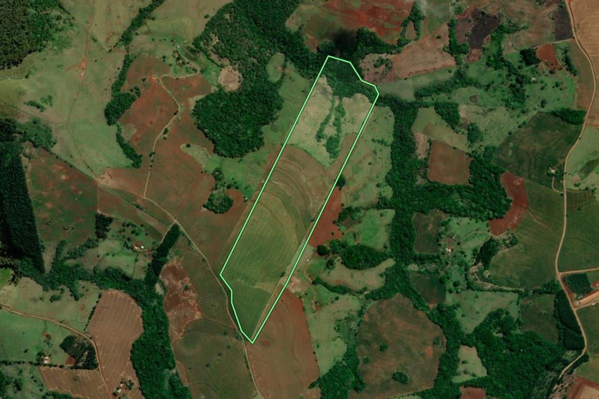 Imagem de satélite do imóvel rural em Roncador (PR), com o contorno declarado no CAR desenhado por cima.