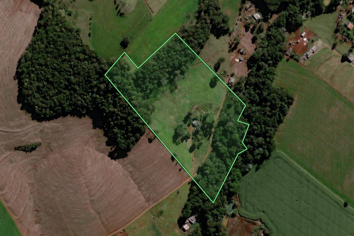 Imagem de satélite do imóvel rural em Roncador (PR), com o contorno declarado no CAR desenhado por cima.