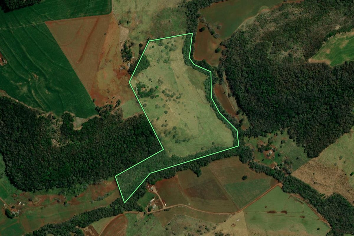 Imagem de satélite do imóvel rural em Roncador (PR), com o contorno declarado no CAR desenhado por cima.