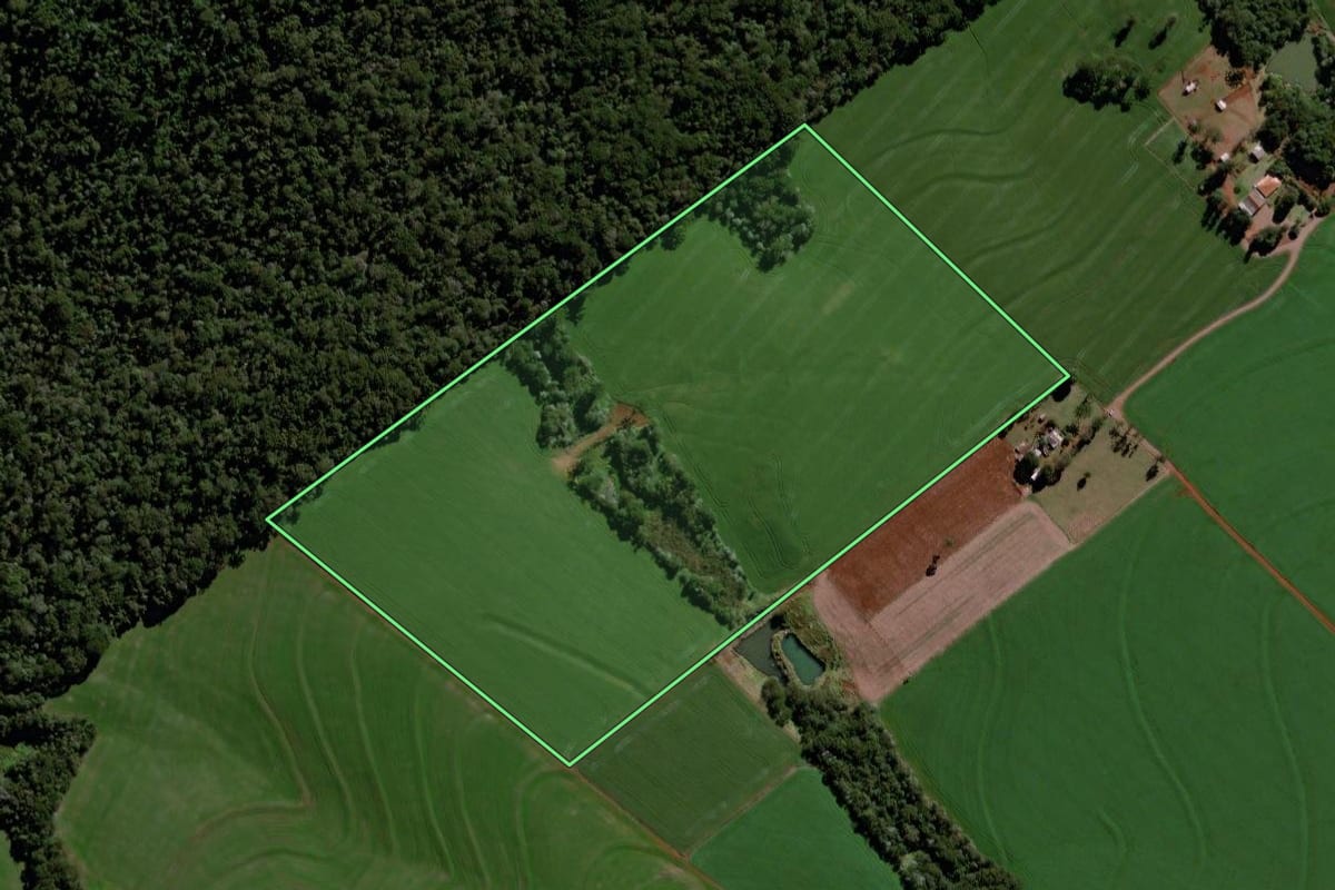 Imagem de satélite do imóvel rural em Roncador (PR), com o contorno declarado no CAR desenhado por cima.
