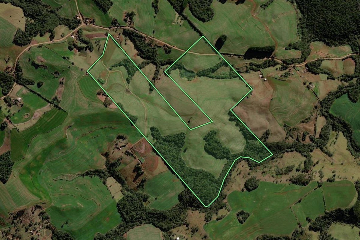 Imagem de satélite do imóvel rural em Roncador (PR), com o contorno declarado no CAR desenhado por cima.