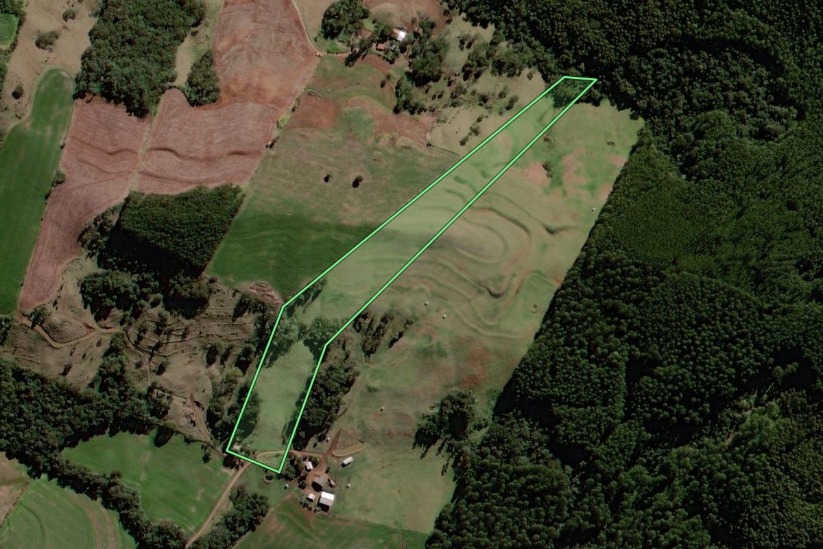 Imagem de satélite do imóvel rural em Roncador (PR), com o contorno declarado no CAR desenhado por cima.
